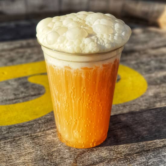 The Wizards Beer Festival Tampa Tampa Fever