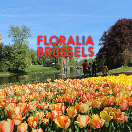 Floralia Brussels, de 21e editie van de lente-bloemententoonstelling - Floralia Pass