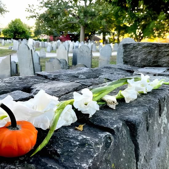 c8d3a18c 1138 11ef 82de 1660e55f2d06