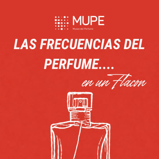 LAS FRECUENCIAS DEL PERFUME….en un Flacon