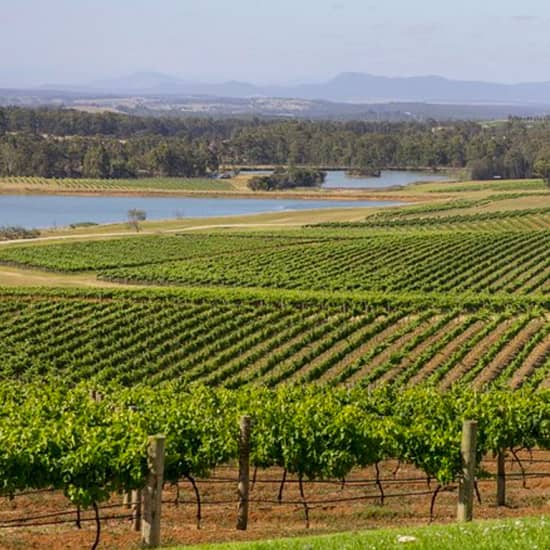 Hunter Valley Wine Tour with Lunch and 3 Cellar Door Tastings