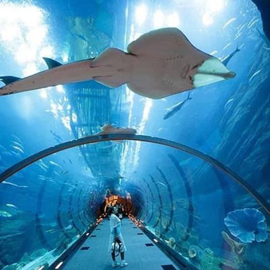 Dubai Atlantis Lost Chamber Aquarium