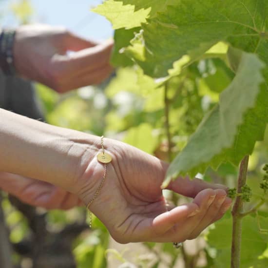 Aventura en Velero desde Barcelona a los viñedos, tour por la bodega y cata de vinos