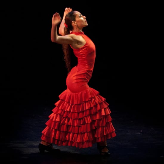 Arte Flamenco: espectáculo + entrada al museo