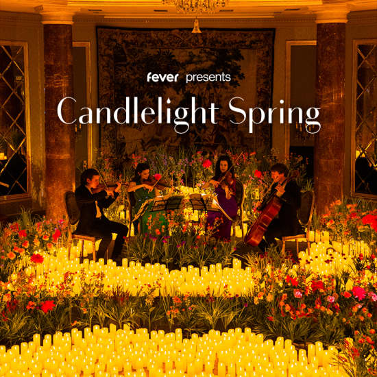Candlelight Spring: アニメソング特集 at 大槻能楽堂