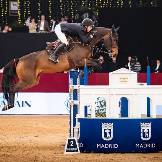 Ifema Madrid Horse Week 2024