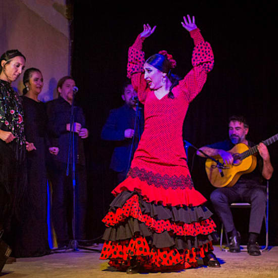 ﻿Flamenco Show Seville + drink