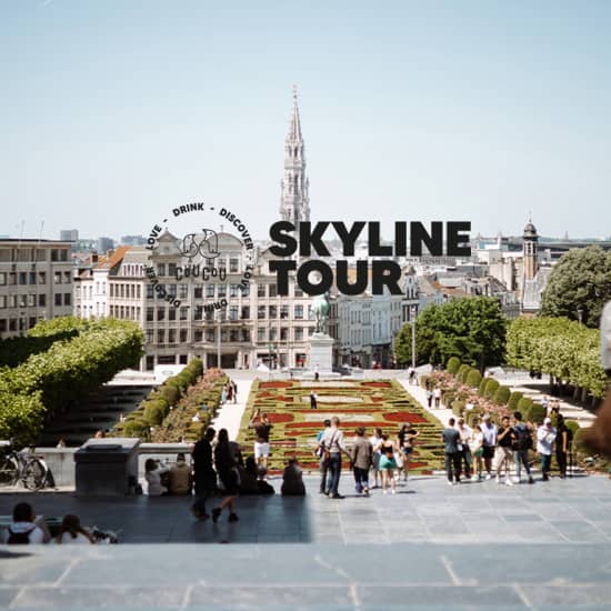 Skyline Tour: De mooiste uitkijkpunten en barretjes in Brussel