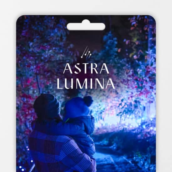 ﻿Astra Lumina: Un paseo nocturno encantado entre las estrellas - Tarjeta regalo