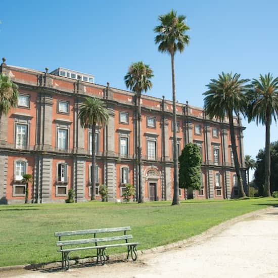 ﻿Admission to the Capodimonte Museum with Pemcards