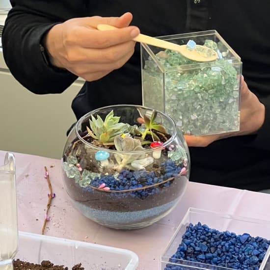 Open Glass Terrarium Class