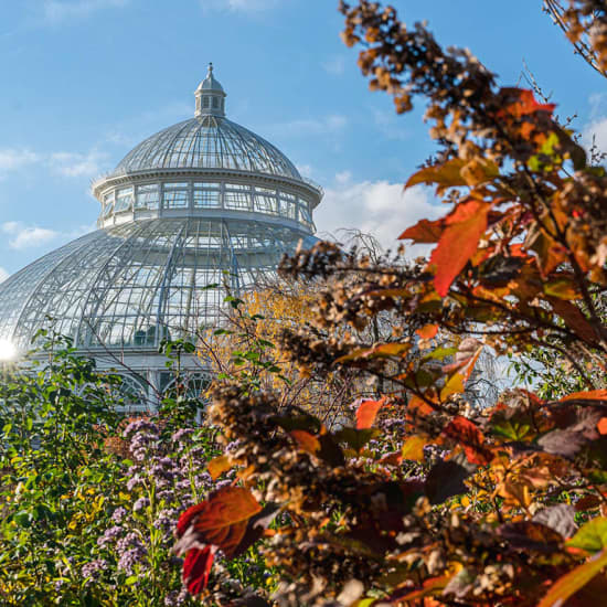 Find Your Fall: New York Botanical Garden