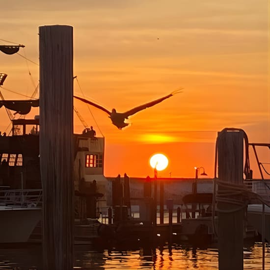 Hydrojet Sunset over the Gulf of Mexico Tour in Destin