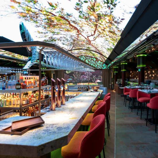 Menú Ejecutivo en el exótico restaurante Quintoelemento (inactivo