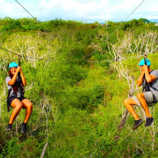 Coral Crater Park's Zipline & Tower Spectacle in Kapolei! 1