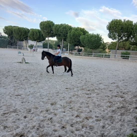 Rutas a caballo en la Escuela de Henry