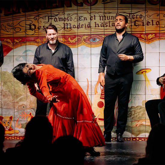 Flamenco de Leones, Madrid