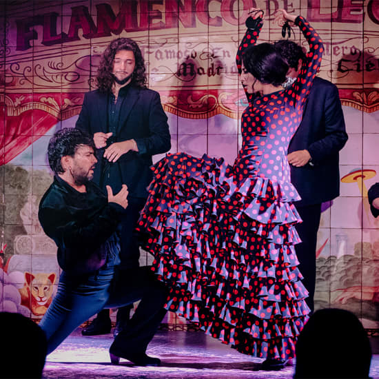 Flamenco de Leones, Madrid