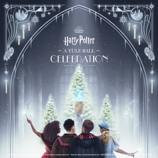 Harry Potter: A Yule Ball Celebration - Family Sessions