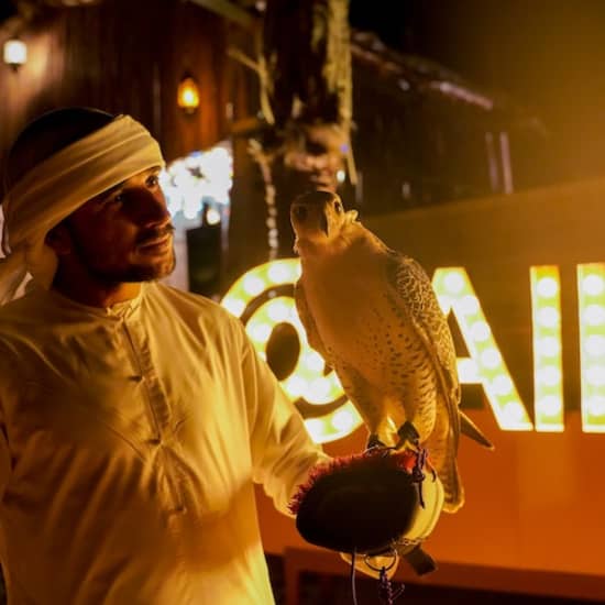 Premium Desert Safari: Camel Ride, Falconry, and BBQ Dinner