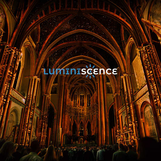LUMINISCENCE : Cathédrale Notre Dame de la Treille - Liste d’attente