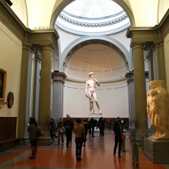 Galleria dell'Accademia: Biglietto d'ingresso prioritario