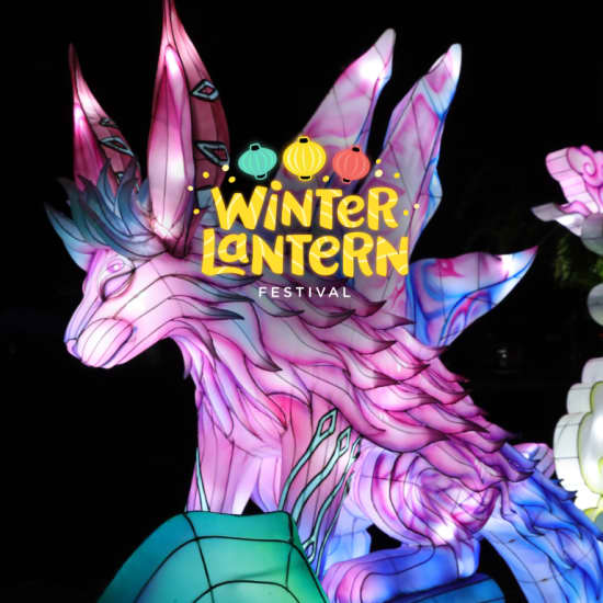 Lantern Festival at American Dream New Jersey Tickets Fever