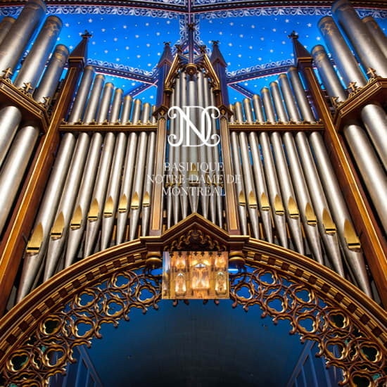 Offre combinée : Prenez place à l’orgue Casavant + visite touristique à la basilique Notre-Dame de Montréal