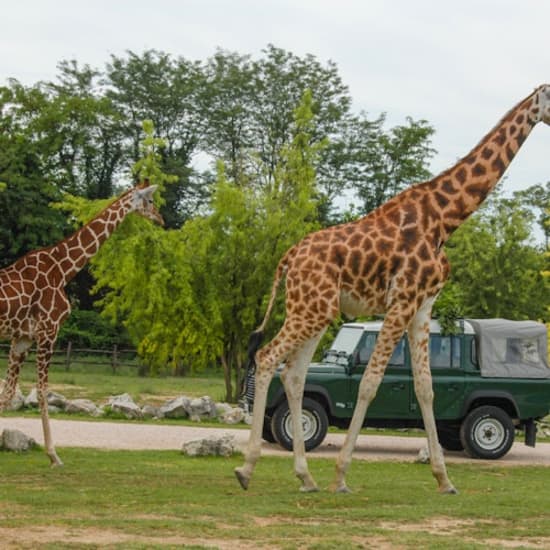 Parco Natura Viva: Biglietto a data aperta