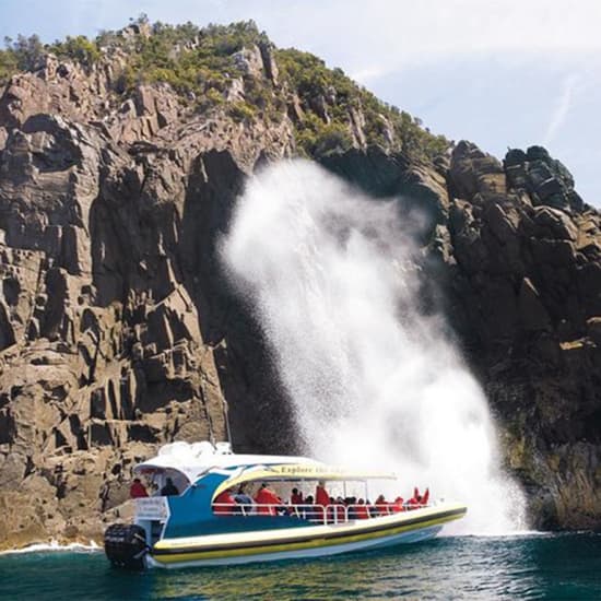 Full-Day Bruny Island Cruises Day Tour from Hobart