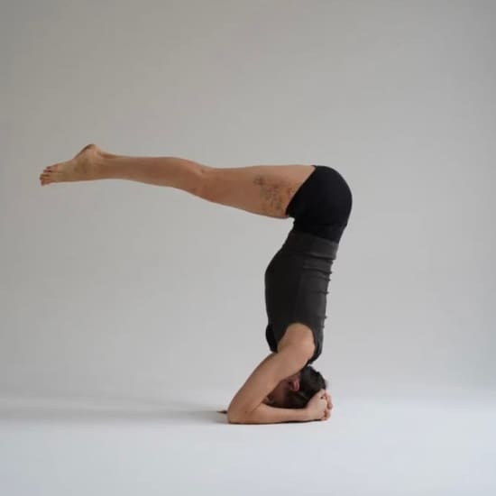 Taller de invertidas: tips & drills