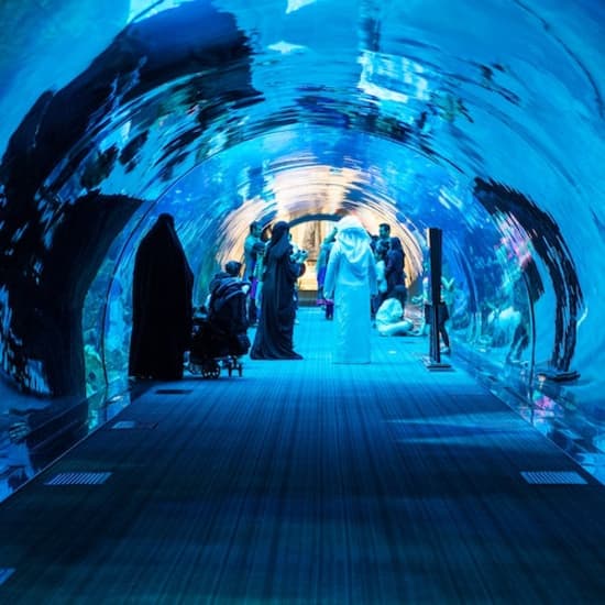 Dubai Aquarium & Underwater Zoo: All-Access Pass