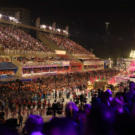 Carnaval do Rio de Janeiro 2025 - Arquibancadas