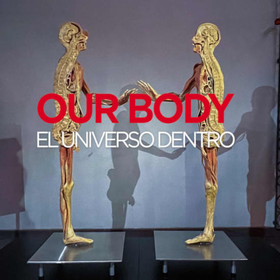 Our Body: El Universo dentro - La experiencia