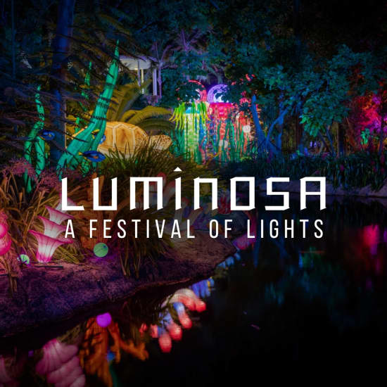 Luminosa: Un Festival de Luces