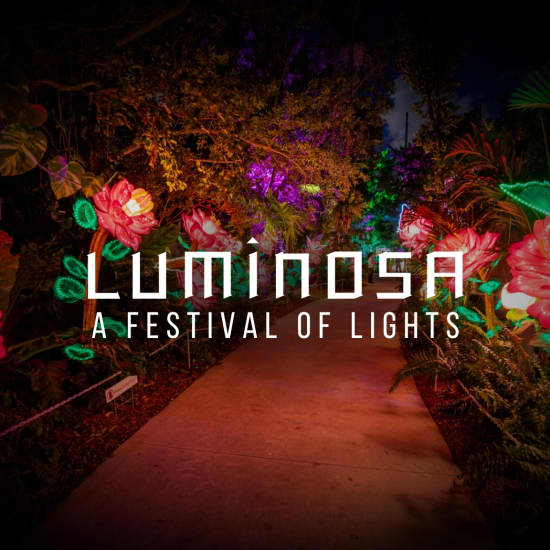 Luminosa: A Festival of Lights