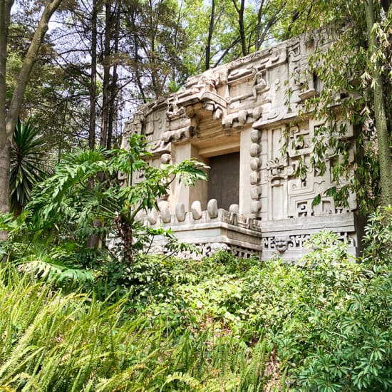 Tour - Museo Nacional de Antropología