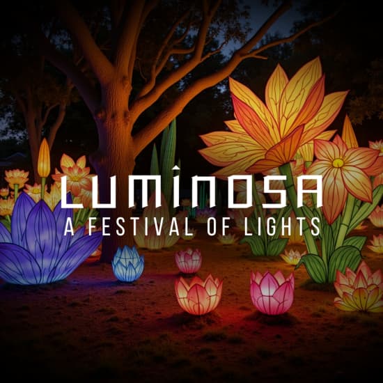 Luminosa: A Festival of Lights