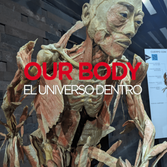 Our Body: El Universo dentro - La experiencia