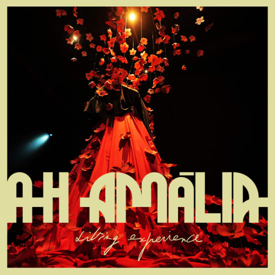 Ah Amalia - Living Experience