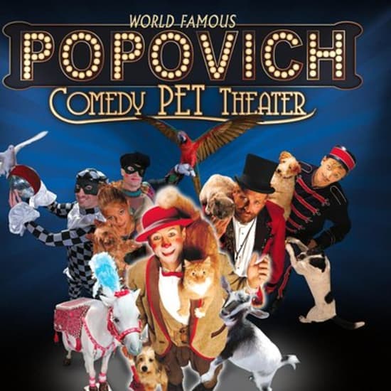 ﻿Teatro Popovich Comedy Pet en el Planet Hollywood Resort and Casino