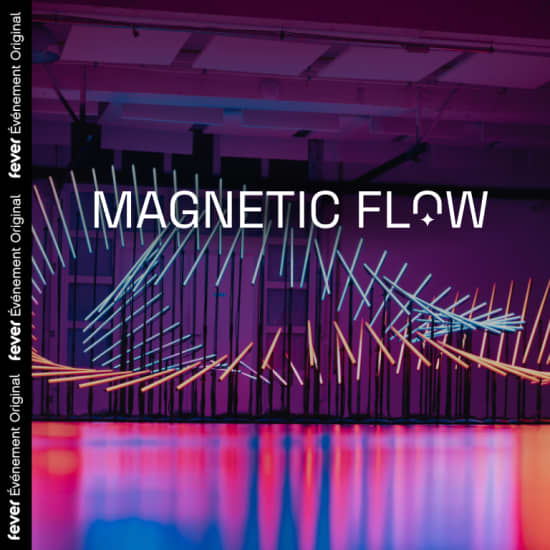 Magnetic Flow: een indrukwekkende tentoonstelling van geluid en licht
