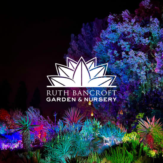 Garden of D'Lights