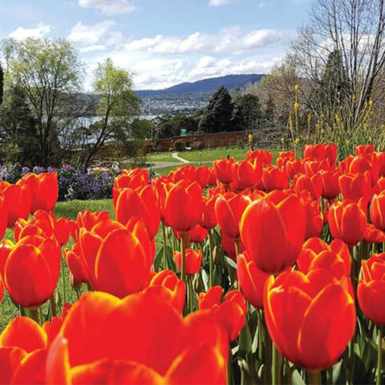 Hobart Half-Day Sightseeing City Tour