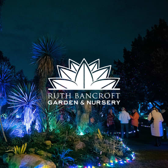 Garden of D'Lights