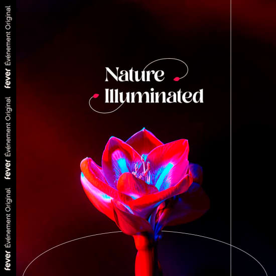 Nature Illuminated : L'harmonie des saisons