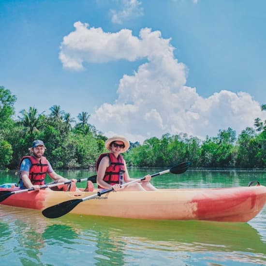 Mangrove Kayaking in Singapore