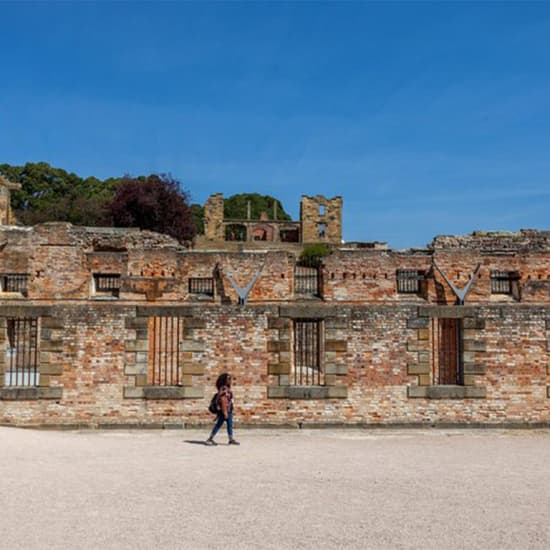 Port Arthur and Lavender Active Day Tour