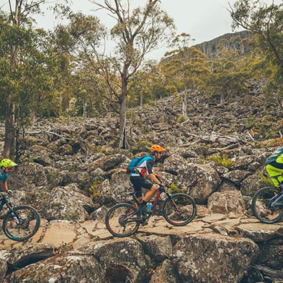 kunanyi/Mt Wellington Explorer Bus - One Way Tour