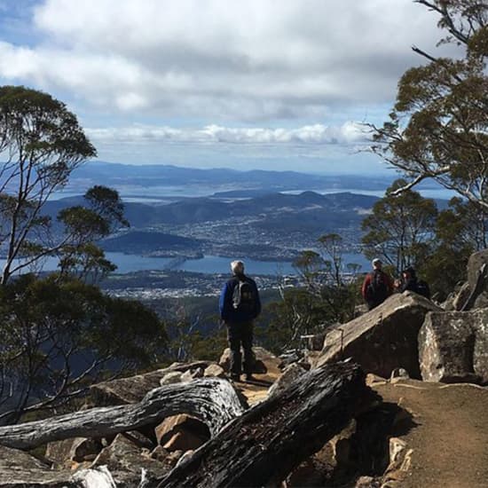 kunanyi/Mt Wellington Explorer Bus - One Way Tour